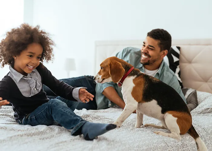 Citadines Confluent Aparthotel